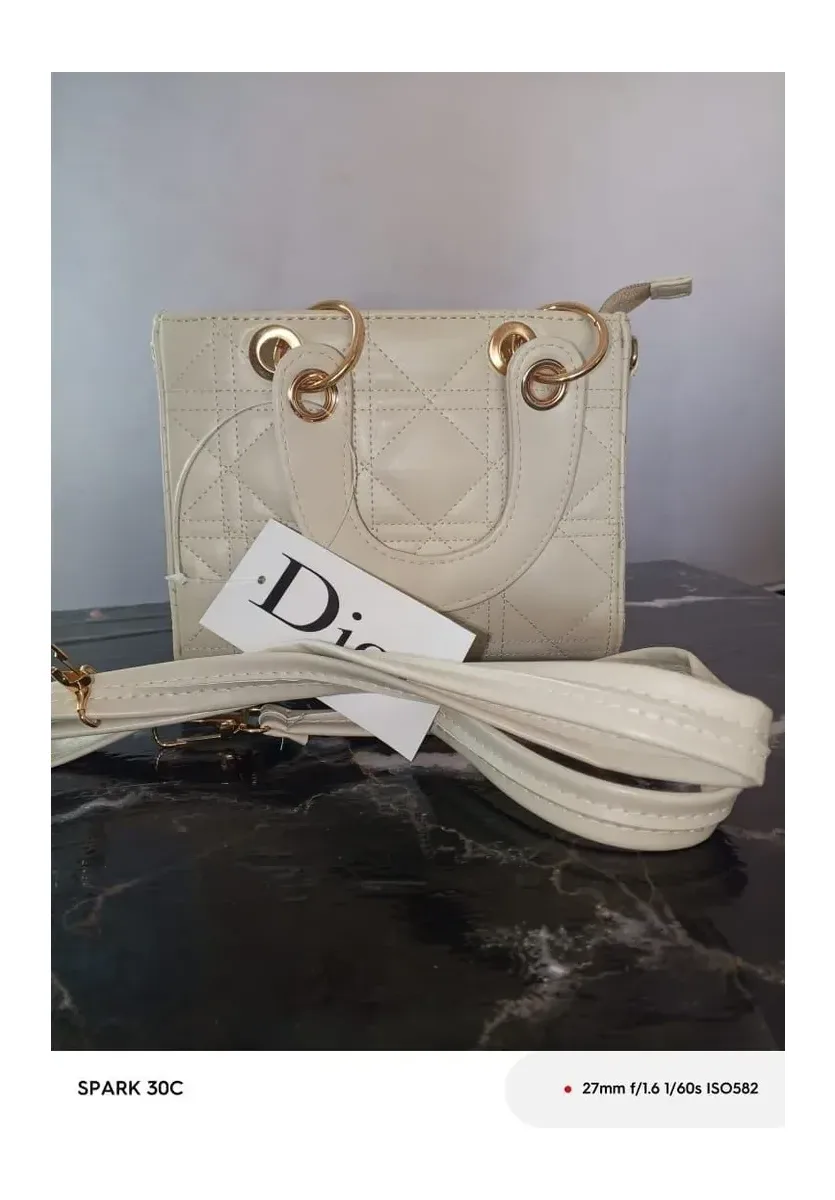 Sacs Dior