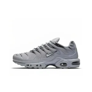 Nike TN gris