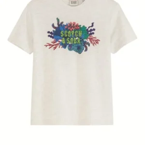 tshirt gris